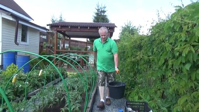 10. Секреты богатого урожая помидор! Окучивание. Траншея. Подкормка.