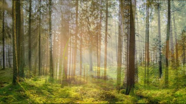ЖИЗНЬ НА НОВОЙ ЗЕМЛЕ (ИЗМЕНЕНИЕ ВИБРАЦИЙ ПРИРОДНЫХ СТИХИЙ) смотреть онлайн