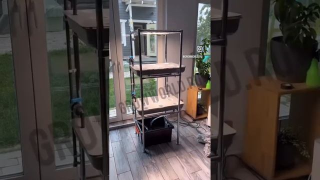 #удобрения #гидропоника #reels #monday смотреть онлайн