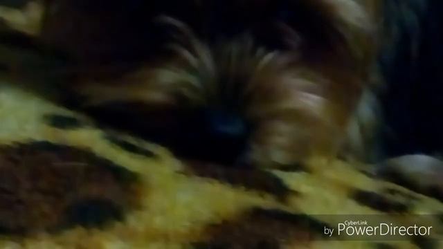 Ответы на вопросы) (можете еще писать) смотреть онлайн