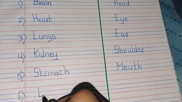 Internal organs/10 internal organs/External organs/10 External organs/ Internal&External Organs Nam смотреть онлайн