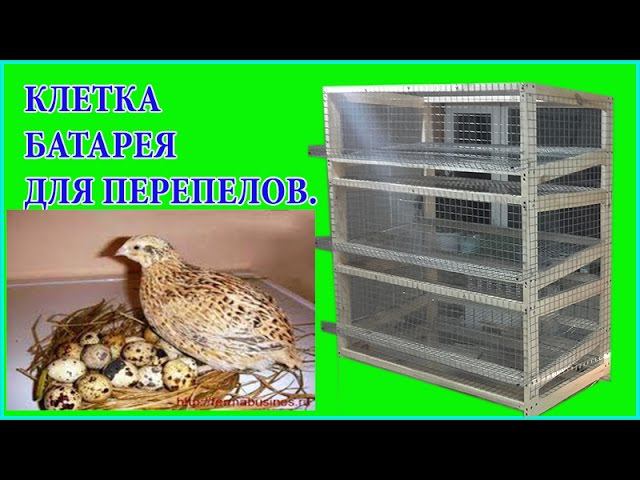 Клетка для перепелов своими руками Перепелиная ферма смотреть онлайн