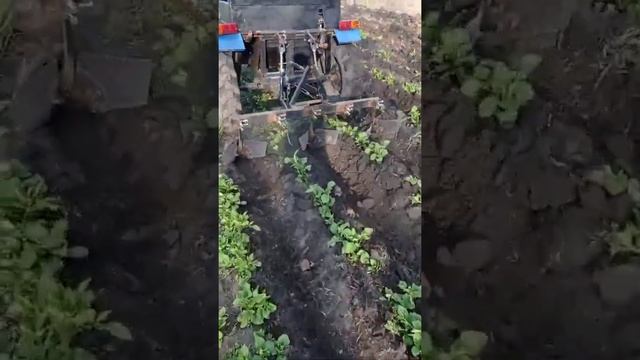 окучивание картофеля смотреть онлайн