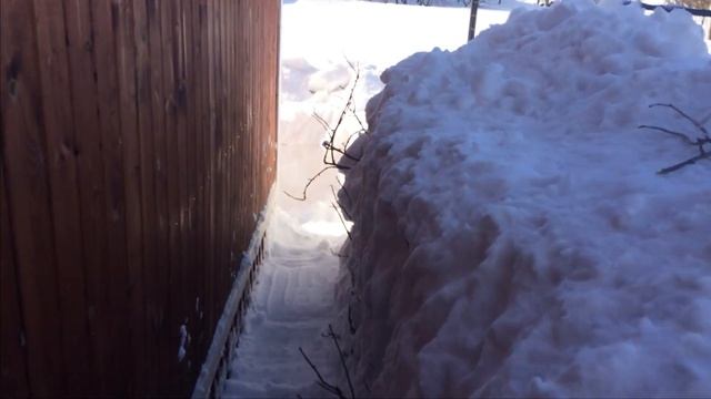 Нужно ли чистить отмостку от снега? Мыши в Каркасном доме смотреть онлайн