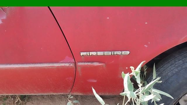 1987 PONTIAC FIREBIRD & 1979 CAMARO Z28 LAST MOMENTS OF FAME! ????♂️ Rats Jumping Out!!!