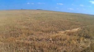 Minelab Go Find 60 Впечатление от прибора за 3 месяца