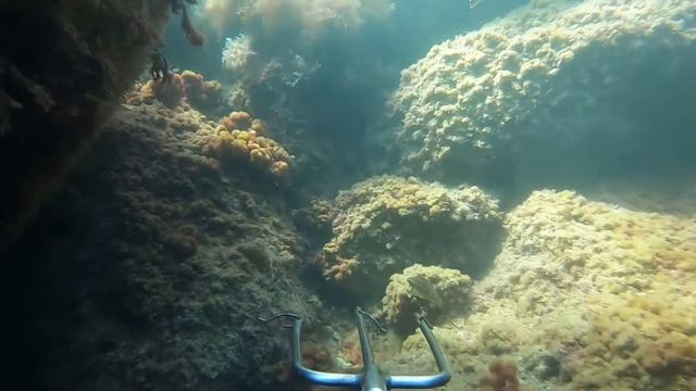 Море 2021 Судак под водой смотреть онлайн