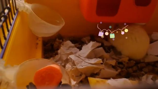 Мои любимые хомяки смотреть онлайн