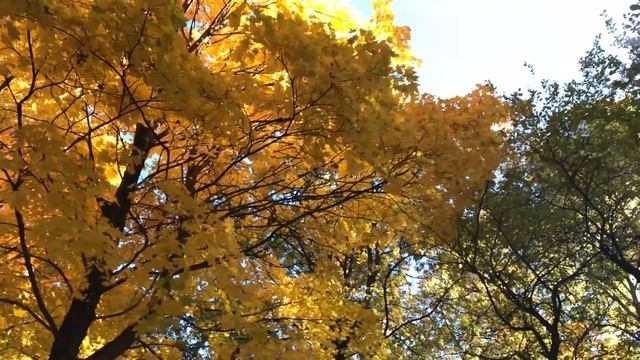 Осень В Быханов Сад Парк) смотреть онлайн