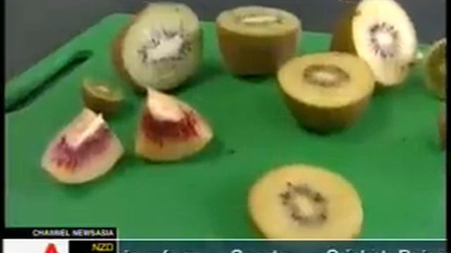 ZESPRI New Zealand Kiwifruit