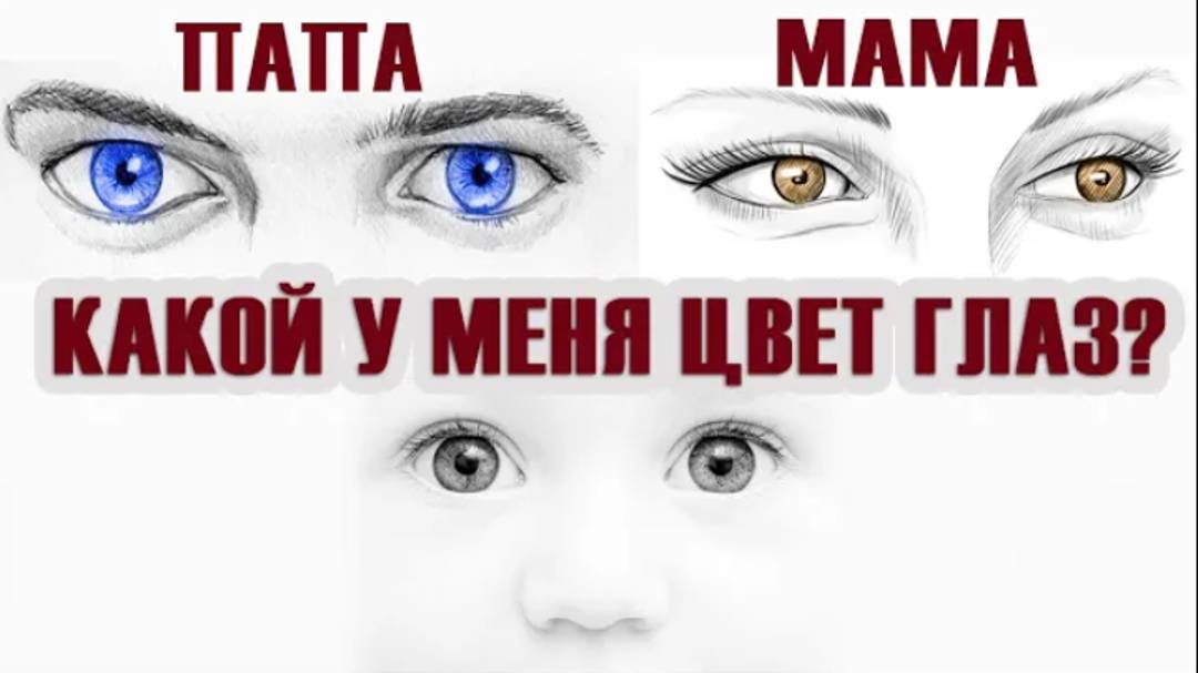 какого окраса вылупится утенок? Как предсказать результаты размножения. ГЕНЕТИКА мускусных уток ч.3 смотреть онлайн