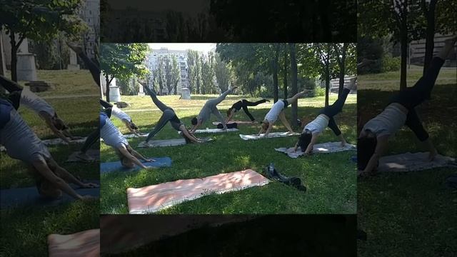 Йога в Деснянском парке, Киев, 20.07.19 смотреть онлайн