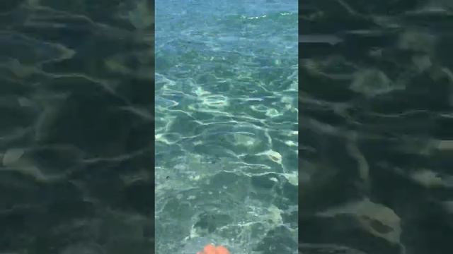 Греция. Ионическое море острова Кефалония смотреть онлайн