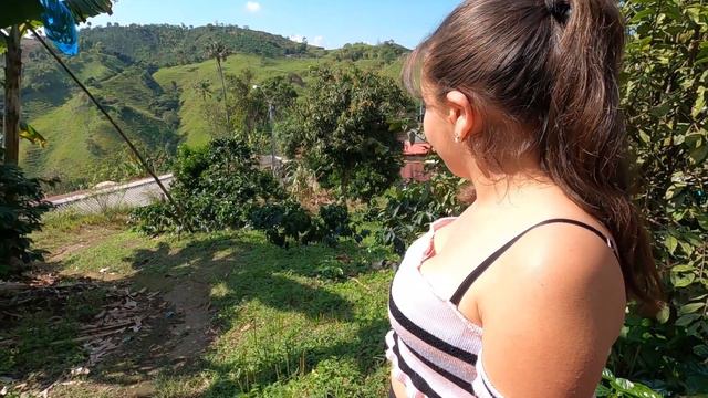 🇨🇴 Colombian Arabica Coffee; Premium coffee harvest & expert tips on buying, brewing the best coffe смотреть онлайн