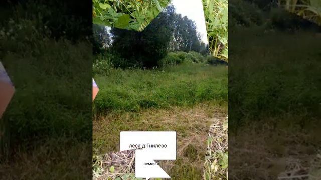 Братская могила д.Гнилево смотреть онлайн