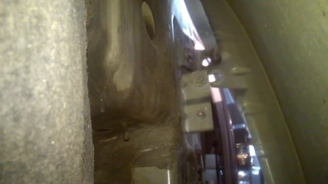 Вкусовая Симфония