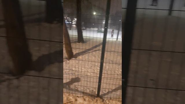 передержка собак Недорого Москва кантемировская смотреть онлайн