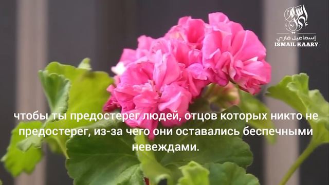 ЯСИН ❤️ СЛУШАЙТЕ КАЖДЫЙ ДЕНЬ. С ПЕРЕВОДОМ НА РУССКИЙ смотреть онлайн
