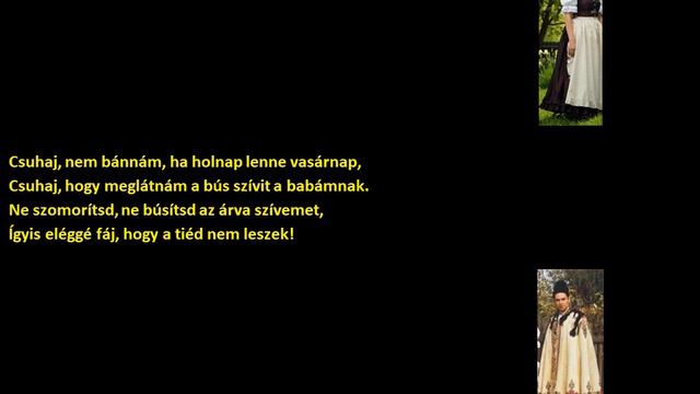 Varga Andrásné Bodó Ilona-Csuhaj, nem bánnám, ha holnap lenne vasárnap (Tiszafüred) (szöveggel) смотреть онлайн