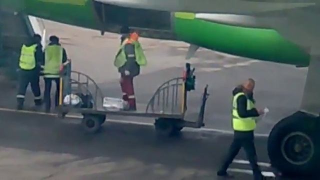 Как грузится наш багаж в S7. смотреть онлайн