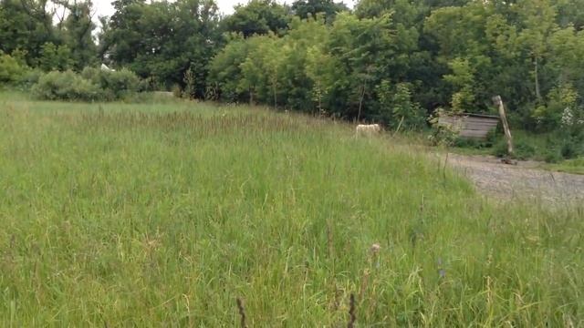 Продам участок Раменский район, с.Никитское, 55 км. от МКАД, участок 19 соток смотреть онлайн