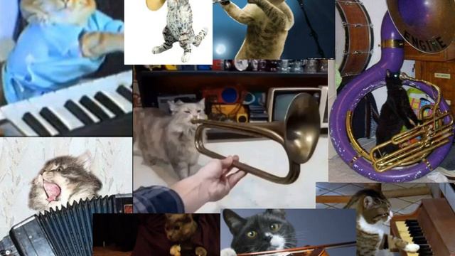 Cat Orchestra (Bad Piggies) смотреть онлайн