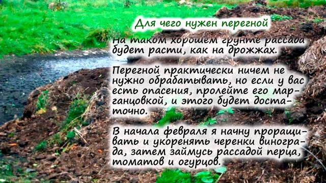 Как сделать и где применять перегной смотреть онлайн
