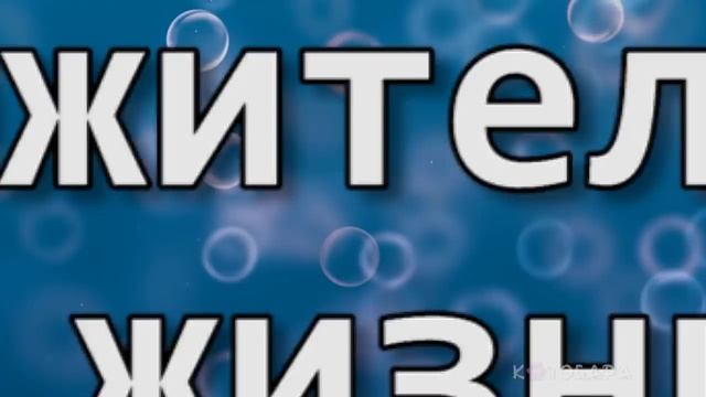 В ЧЁМ РАЗНИЦА? ВОРОНА vs ВОРОН смотреть онлайн