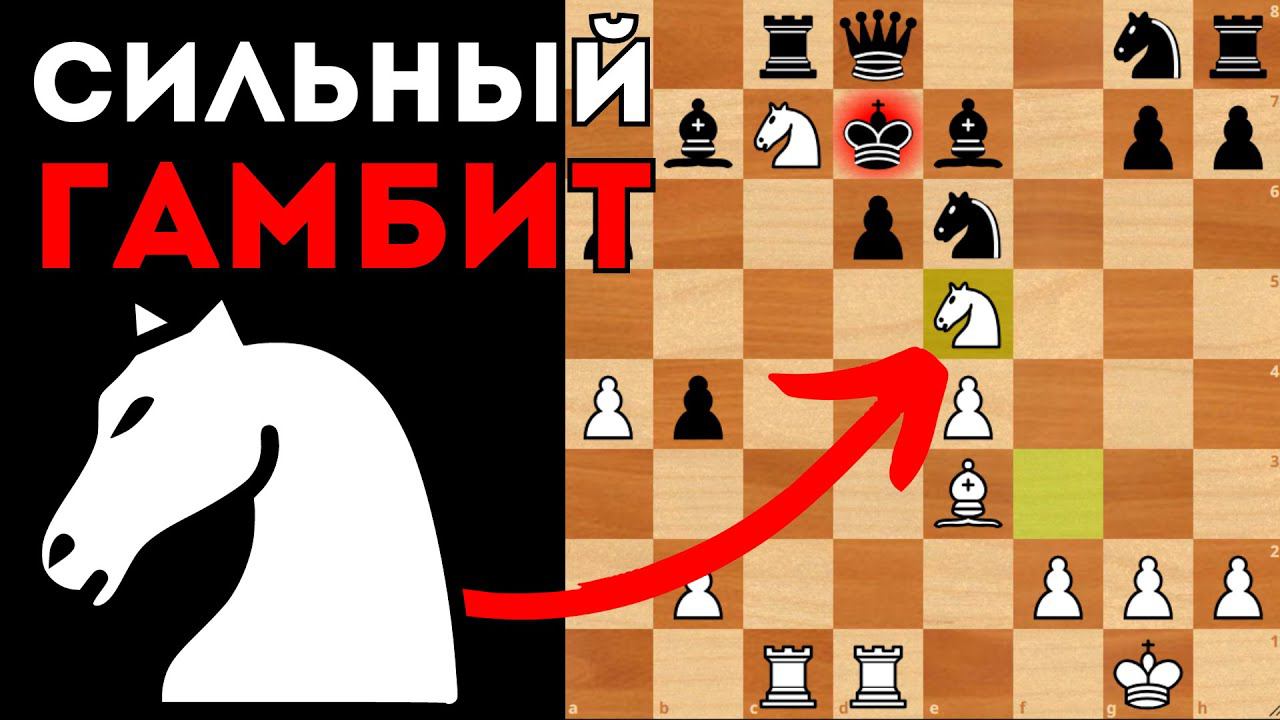 Сильнейший гамбит против Сицилианской защиты. Шахматы смотреть онлайн