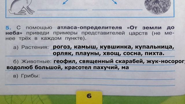 Окружающий мир. Рабочая тетрадь 3 класс 1 часть. ГДЗ стр. 6 №5 смотреть онлайн