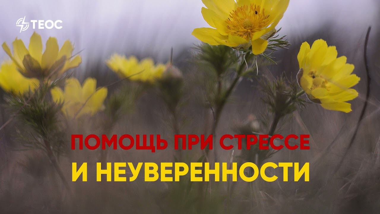 Помощь при стрессе и неуверенности смотреть онлайн