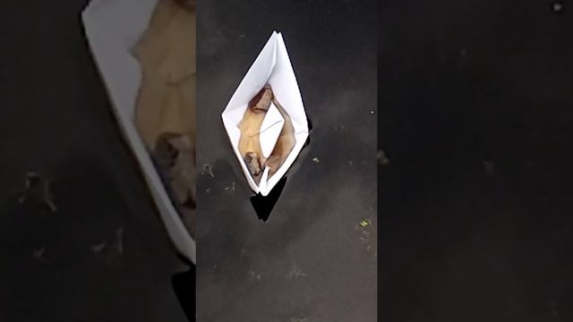 Тонущий бумажный кораблик смотреть онлайн