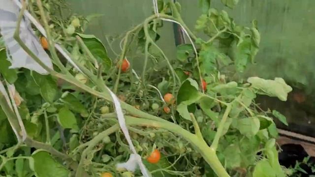 приготовление перед зимой в усадьбе , все идёт своим чередом смотреть онлайн