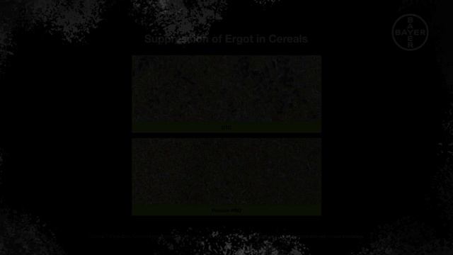 Cereal Fungicides: Set A New Standard With Prosaro® PRO