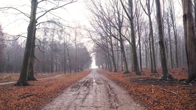 Грядущее раскрытие, которого все - так долго ждали! смотреть онлайн