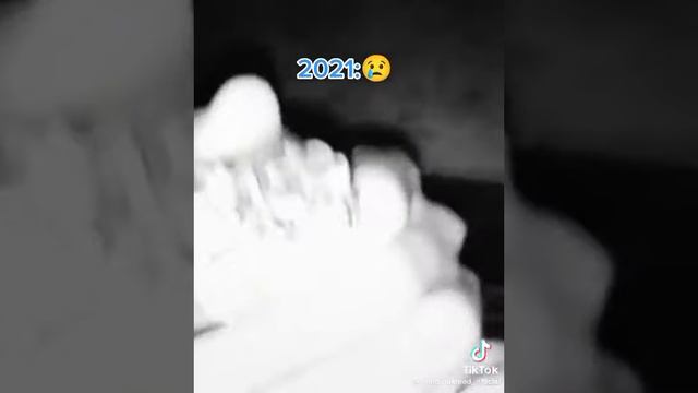 лягушка Ти квакать умеешь🐸🐸🙀