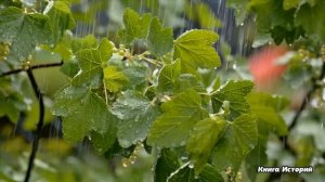 Попрошайка спас внучку нефтяного магната и подарил малышке старую книжку… А когда богач открыл её..