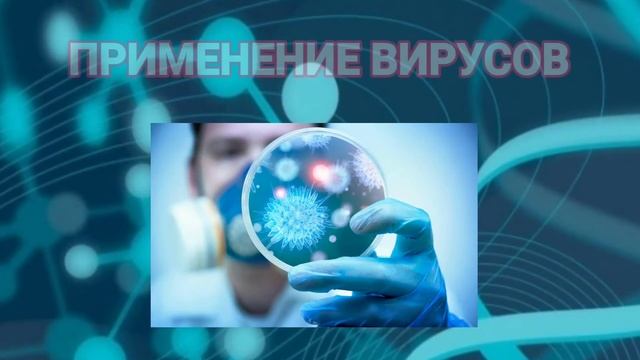 Вирусы (БОНУС: +презентация) смотреть онлайн