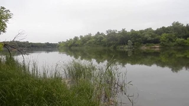 река Северский Донец,х.Филиппёнков. Звуки природы просто супер!!! смотреть онлайн
