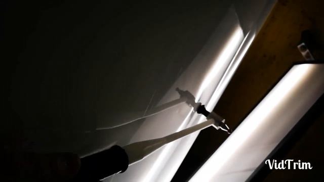 Жизнь в Красках