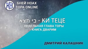 Недельная глава Торы - Парашат а-шавуа - «Ки теце» 5784/2024. Дмитрий Калашник