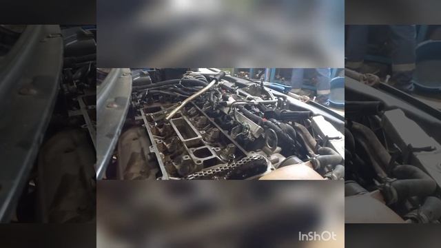 Замена маслосъёмных сальников клапанов форд фокус 2 цепной. смотреть онлайн