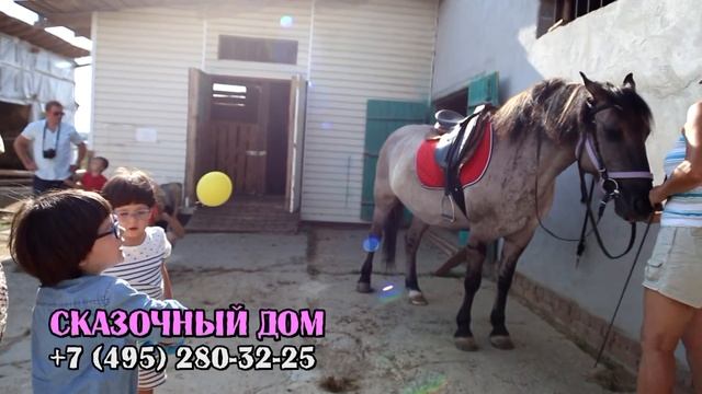 Лунтик, дрессированные животные на праздник (495) 280-32-25 смотреть онлайн