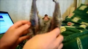 Я прошу тебя узбагойся
