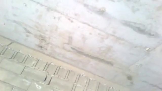 კალმატრონი /Кальматрон / Kalmatron