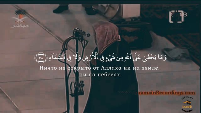 сура Ибрахим 28-52 || шейх Сауд аш Шурейм смотреть онлайн