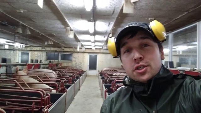НІЧ ЯКА МІСЯЧНА, ЗОРЯНА ЯСНАЯ!!! смотреть онлайн