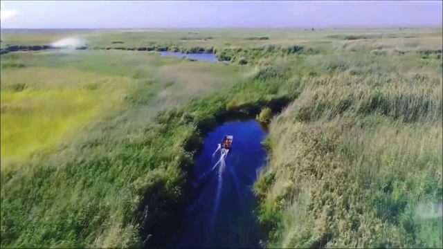 Дикая природа | Прибалхашье 2 смотреть онлайн