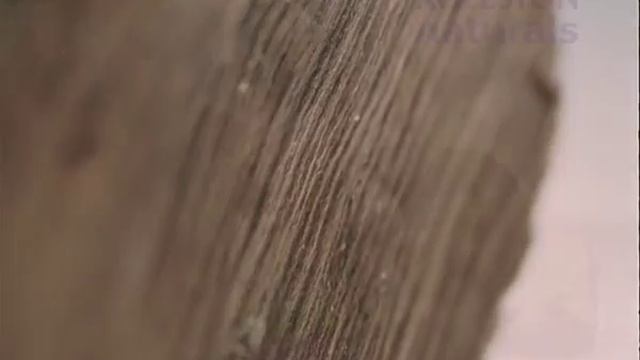 Koleston Naturals Brown смотреть онлайн