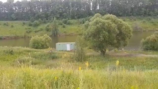 Участок на пруду в Дмитриевке смотреть онлайн